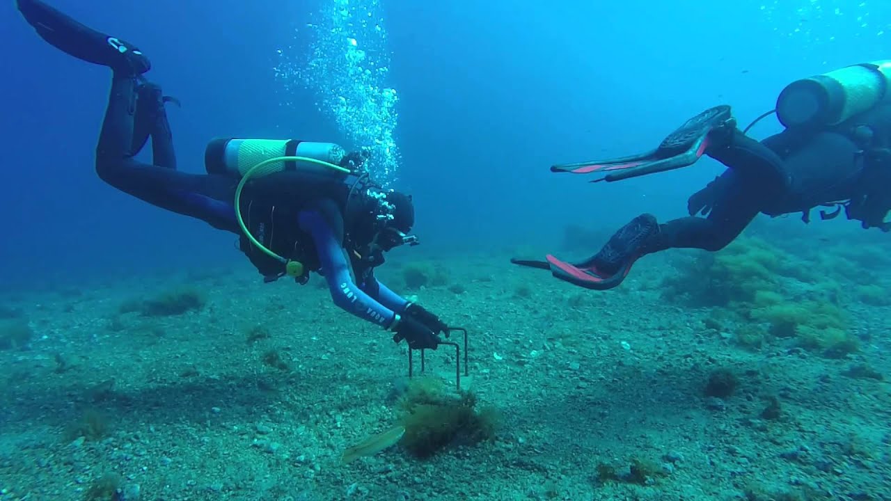 real money slots app android