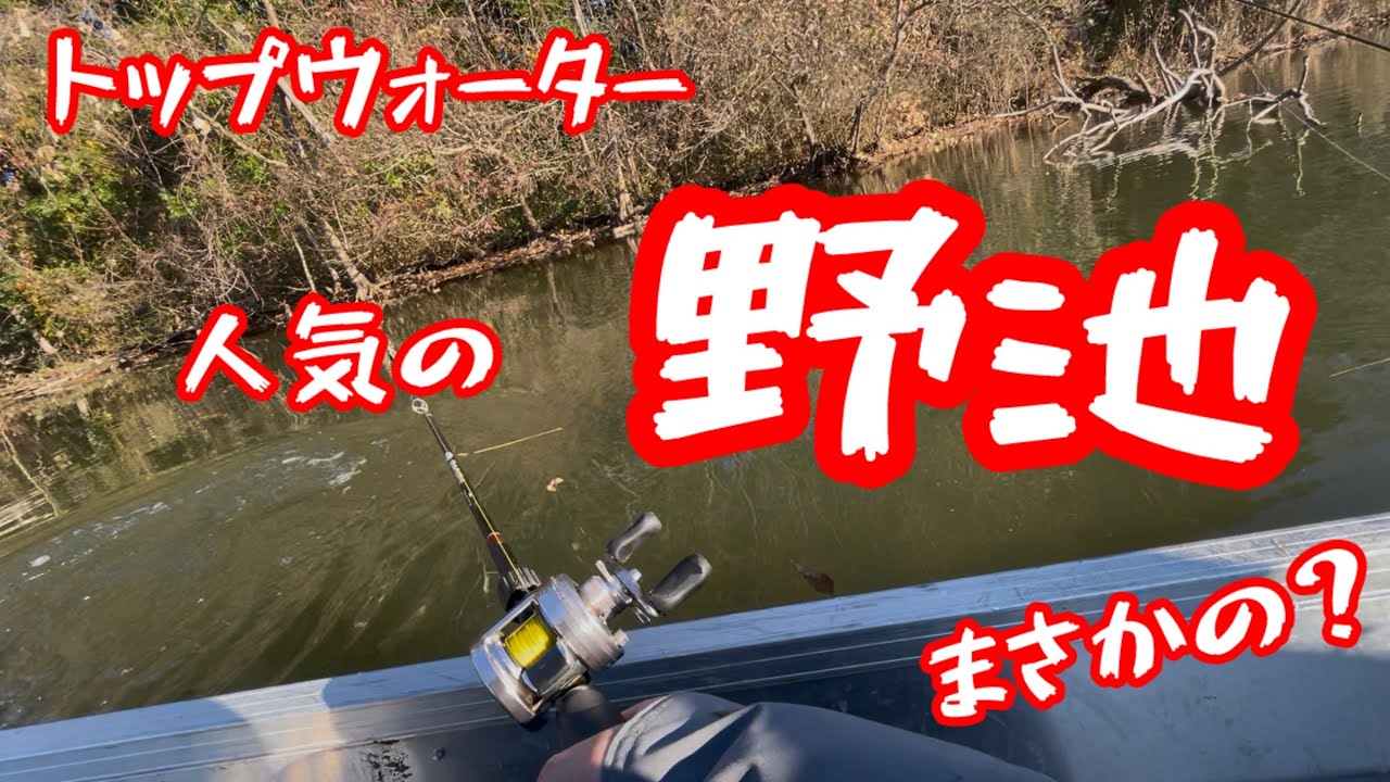 #トップウォーター #アルミボート #カヤックフィッシング #バス釣り #fishing #デカバス #bassfishing #野池 #野池バス釣り