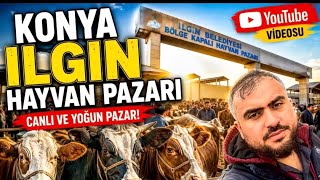 Konya Ilgın Hayvan Pazarı 2026 Kurbanlık Fiyatları