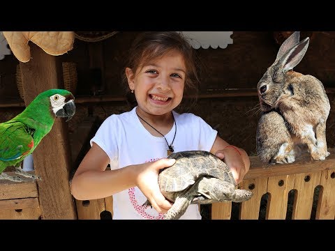 ემილია მთაწმინდაზე კონტაქტურ ზოოპარკში აჭმევს ცხოველებს