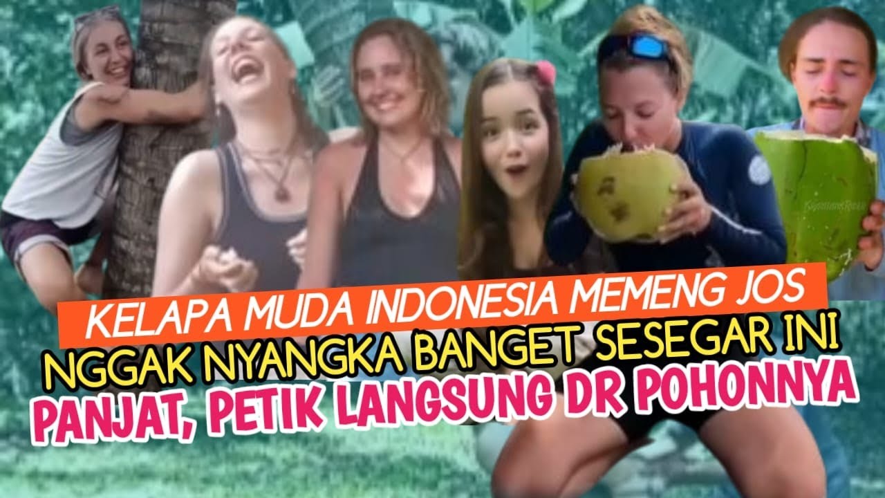ASTAGEE ! KOCAK BULE KERANJINGAN NYOBA MANJAT KELAPA MUDA LANGSUNG PETIK DAN MINUM LSG DARI POHONNYA