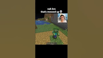 Minecraft Baby Zombie Moment