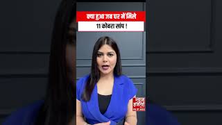 Kannauj Cobra News : कन्नौज में पुलिस कर्मी के घर में 11 कोबरा, मचा हड़कंप!। yt short