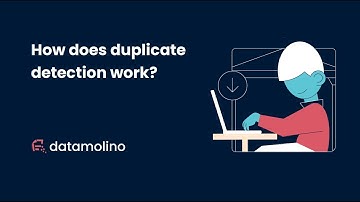 Duplicate detection in Datamolino