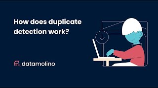 Duplicate detection in Datamolino