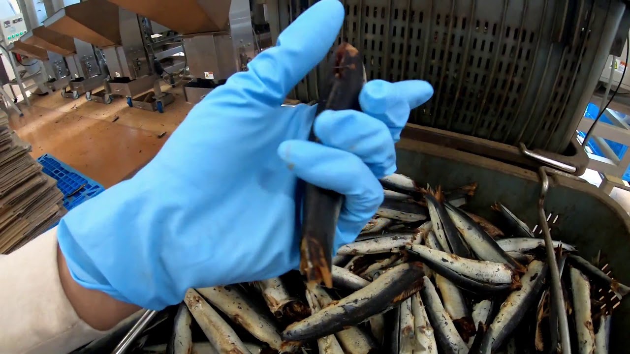 ふりかけ用に 業務用の鰹節工場 いわしの薄削り 製造中 19 6 7 Youtube