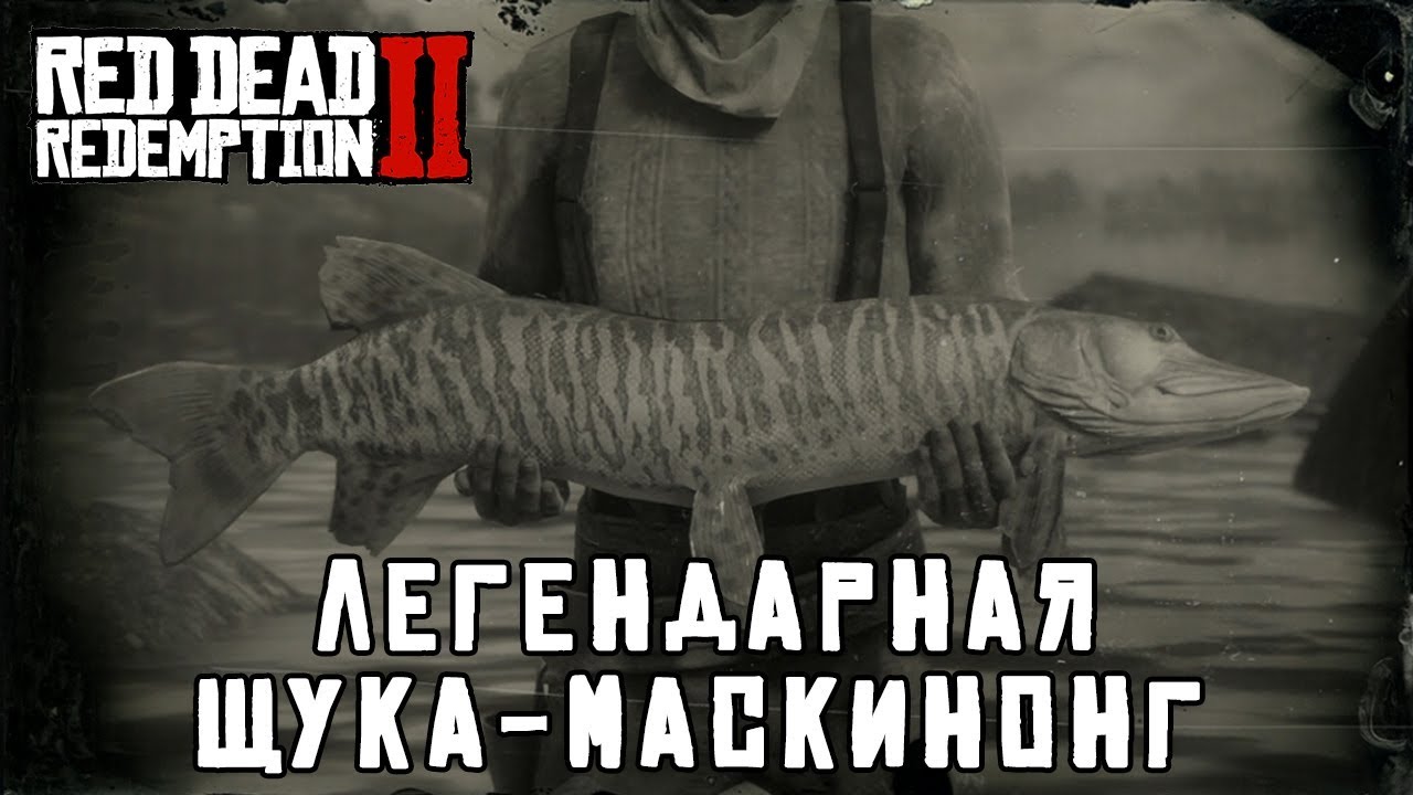 Легендарная щука. Легендарная щука-маскинонг РДР 2. Щука-маскинонг rdr2. Легендарные рыба щука маскинонг. Полосатая щука rdr2.