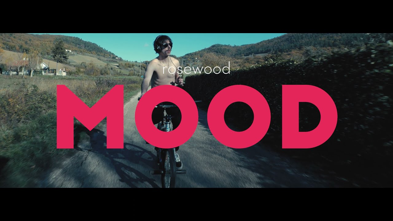 Guarda rosewood - mood (video) su YouTube Guarda rosewood - mood (video) su YouTube