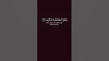 القارئ سعد الغامدي [سُورَةُ النَّمۡلِ: ٧٣]