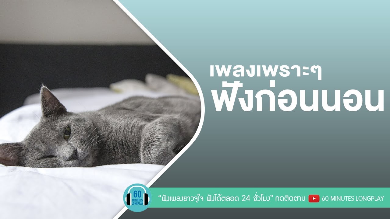 เพลงเพราะๆ ฟังก่อนนอน [ เบิร์ด ธงไชย ,ศักดา พัทธสีมา,Clash ]