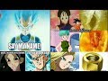 Dragon Ball Z Memes/Jokes Only Real Fans Will Understand||#17