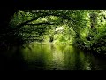 Relaxing Nature Sounds, ASMR