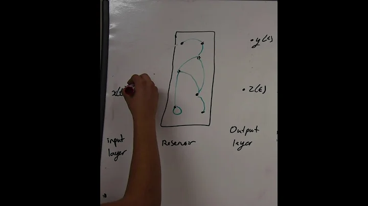 Reservoir Computing Explained (Tatiana Davidson Ba...