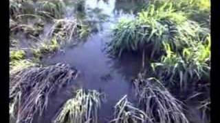 Primavera 2007 en la Reserva Hudson