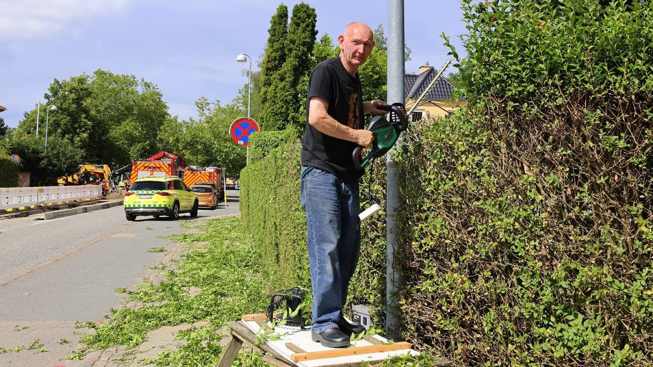 2024 Sommer   Hus og have