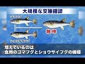 フグ 釣り 種類 275177-フグ 釣り 種類