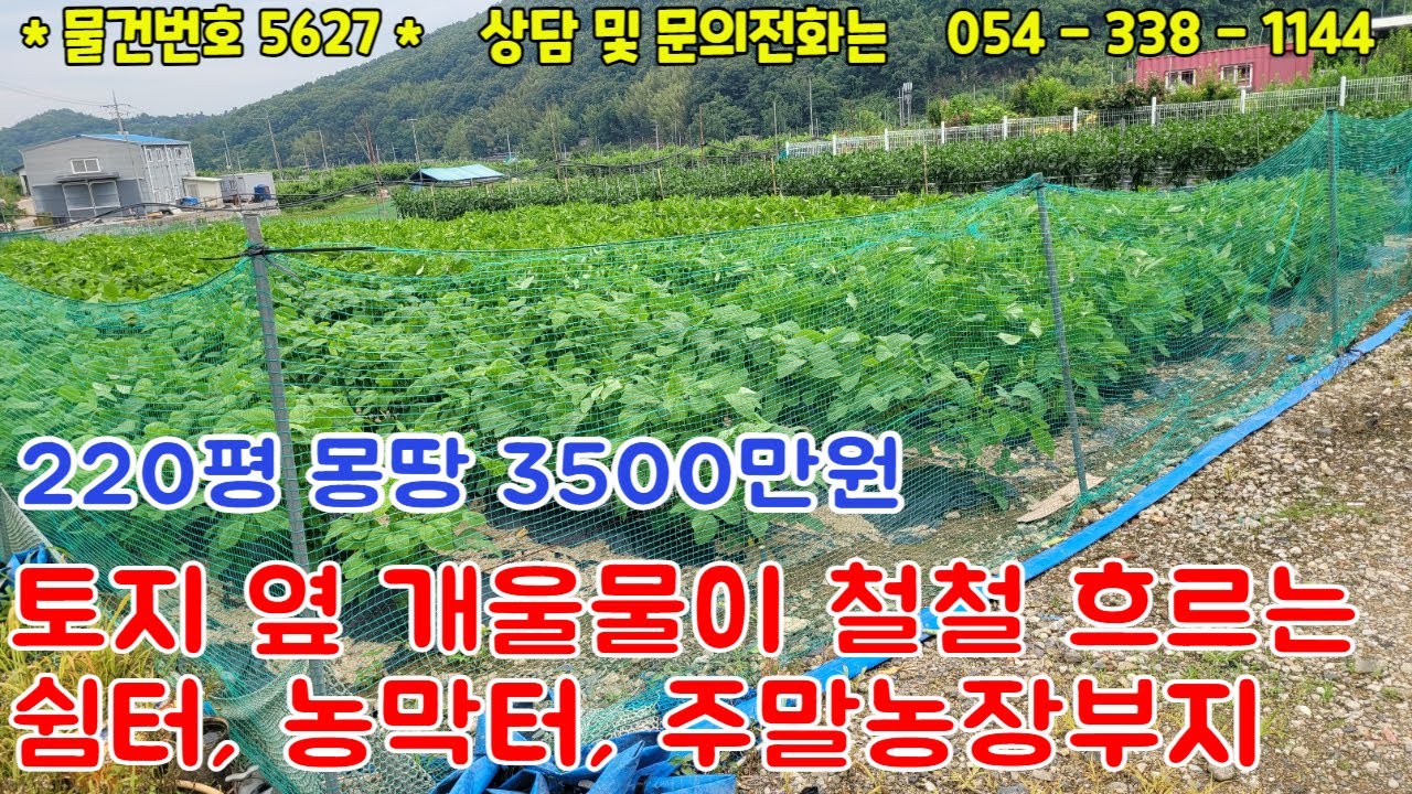 #5627금액3500만원/영천시 대창면 맑은 개울물 옆 차량진입 가능한 체류형쉼터,농막부지매매/220평 전기인입가능/햇살가득 남향/#영천부동산#054-338-1144