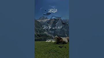 وَيَوْمَ تَشَقَّقُ السَّمَاءُ بِالْغَمَامِ وَنُزِّلَ الْمَلَائِكَةُ تَنزِيلًا (25) | سورة الفرقان