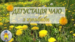 Ферментована Кульбаба: Дегустую Чай Та Описую Смак І Аромат