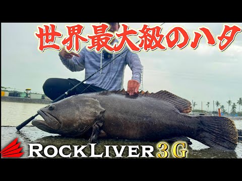 エンジョイソルト - YouTube