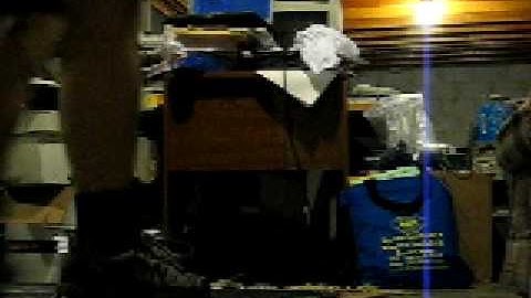 Dan - Anisakis 73.63%