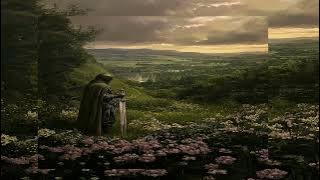 Golden Brown - The Stranglers (slowed   super reverb)