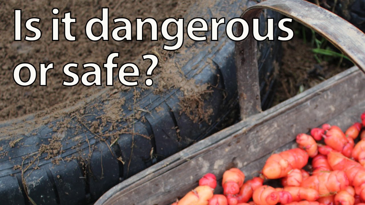 Can You Grow Food In Tires Tyres Can You Grow Food In Tires Tyres