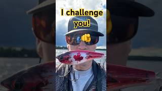 Crazy fishing lure challenge! #fishing #shorts