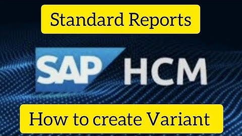Standard Report#Variant in SAP HCM@SAP HCM and Success Factors for beginners