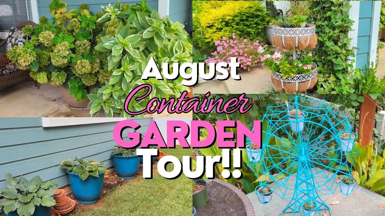 Texas Backyard Containers August 2024 Container Garden Tour!! The Texas HEAT is on!! # ...