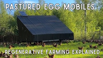 Regenerative Farming Explained: Pastured Egg Mobiles