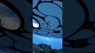 Seaworld Abu Dhabi One Ocean