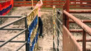 Jackass 3D   Roller Buffalo.wmv