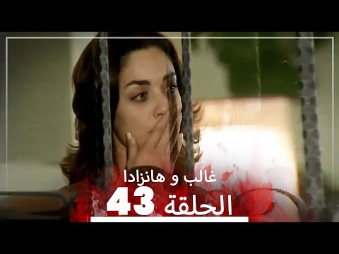   مشاهد حب غالب و هانزادا الحلقة  رماد الحب
