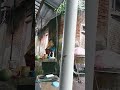 Rain Sounds For Relaxing
