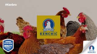 Advantages Of The Kenbro Chicken