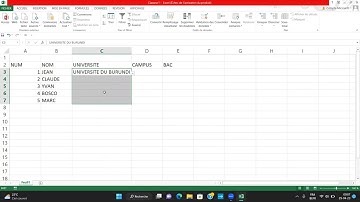 LISTE DEROULANTE, MESSAGE DE SAISIE, MESSAGE D
