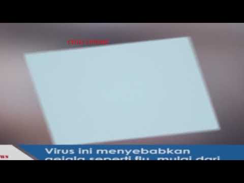 virus-corona,-virus-jenis-baru-dari-trung-quốc-sebabkan-masalah-pernafasan,-gagal-ginjal-hingga-kem