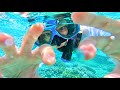 【ASMR】沖縄の自然音99％🐠海の世界でヒーリング…🪸💤(No Talking/Nature Sounds)