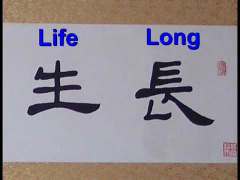 Li Shu Chinese calligraphy sample lesson #4: No tw...