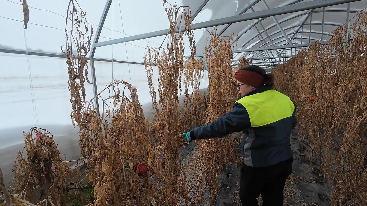 Iarna la sat: frumusețe și provocări.