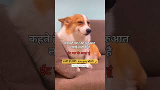 #thumakthumak #thumbnail #memes #viral  #youtubeshorts YouTube @ll_vinay_rajput_9433_ll instagram