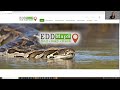 EDDMapS Virtual Office Hours 2022 - So, you want to be a verifier?
