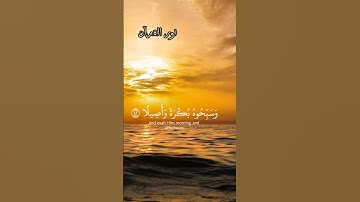 يآايهآ الذين آمنوا|القارئ ياسر الدوسري #اكسبلور #القرآن_الكريم #قرآن #عبدالرحمن_مسعد #ياسر_الدوسري