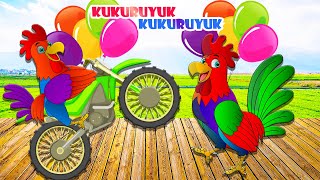Kuku Kukuruyuk - Lagu Anak Anak Terpopuler | Zona ARH Kids