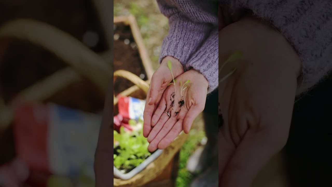 Ko sadi baštu, veruje u sutra! 🙂