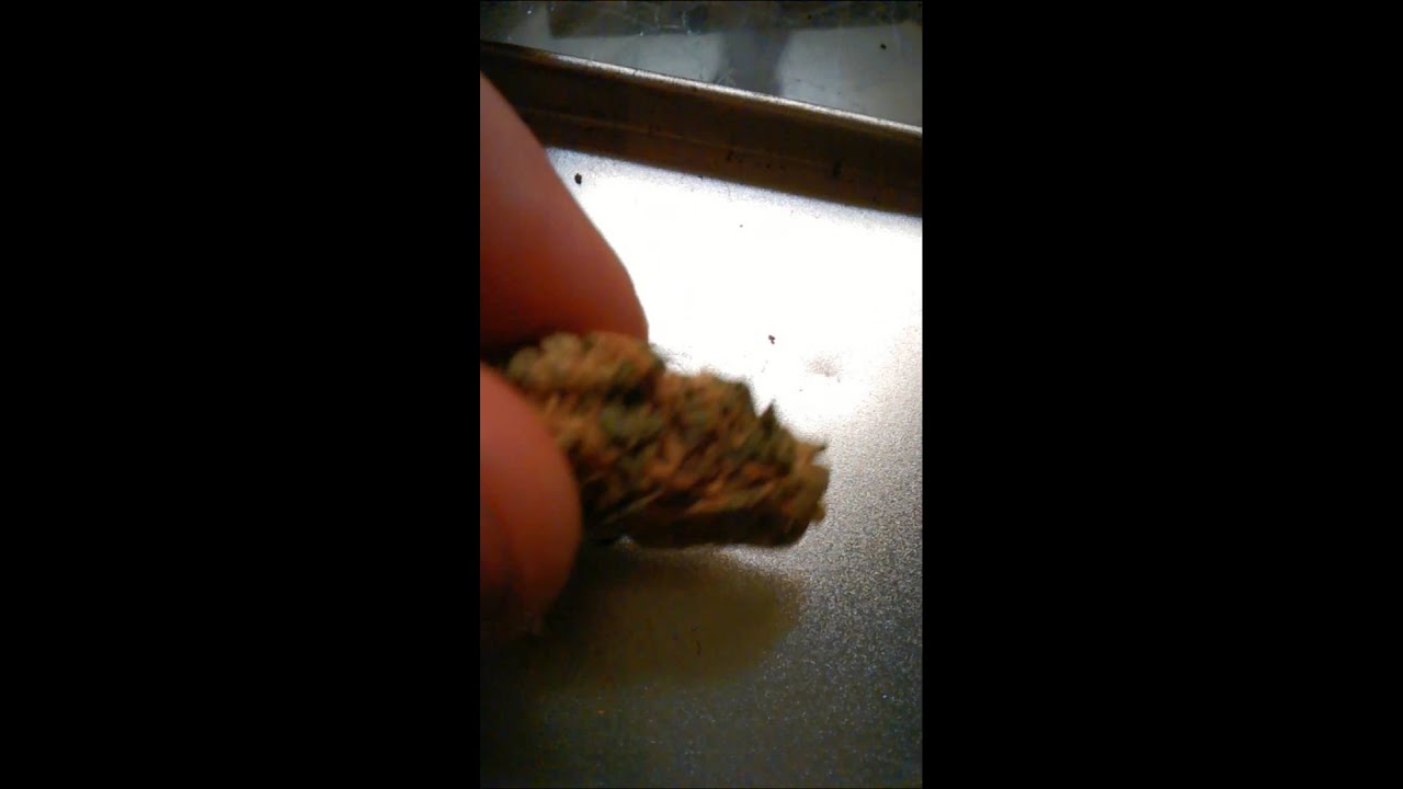 1g of some tasty unknown kush