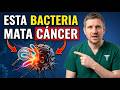 ¡Este alimento puede COMBATIR LA INFLAMACIÓN y ‘matar de hambre’ al cáncer! – Lo que NECESITAS SABER