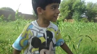 Anas munawar