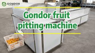 Pit 400 Fruits Per MINUTE!🍑⚡️Automatic Fruit Pitting Machine#fruitpitting #agritech #fruitprocessing
